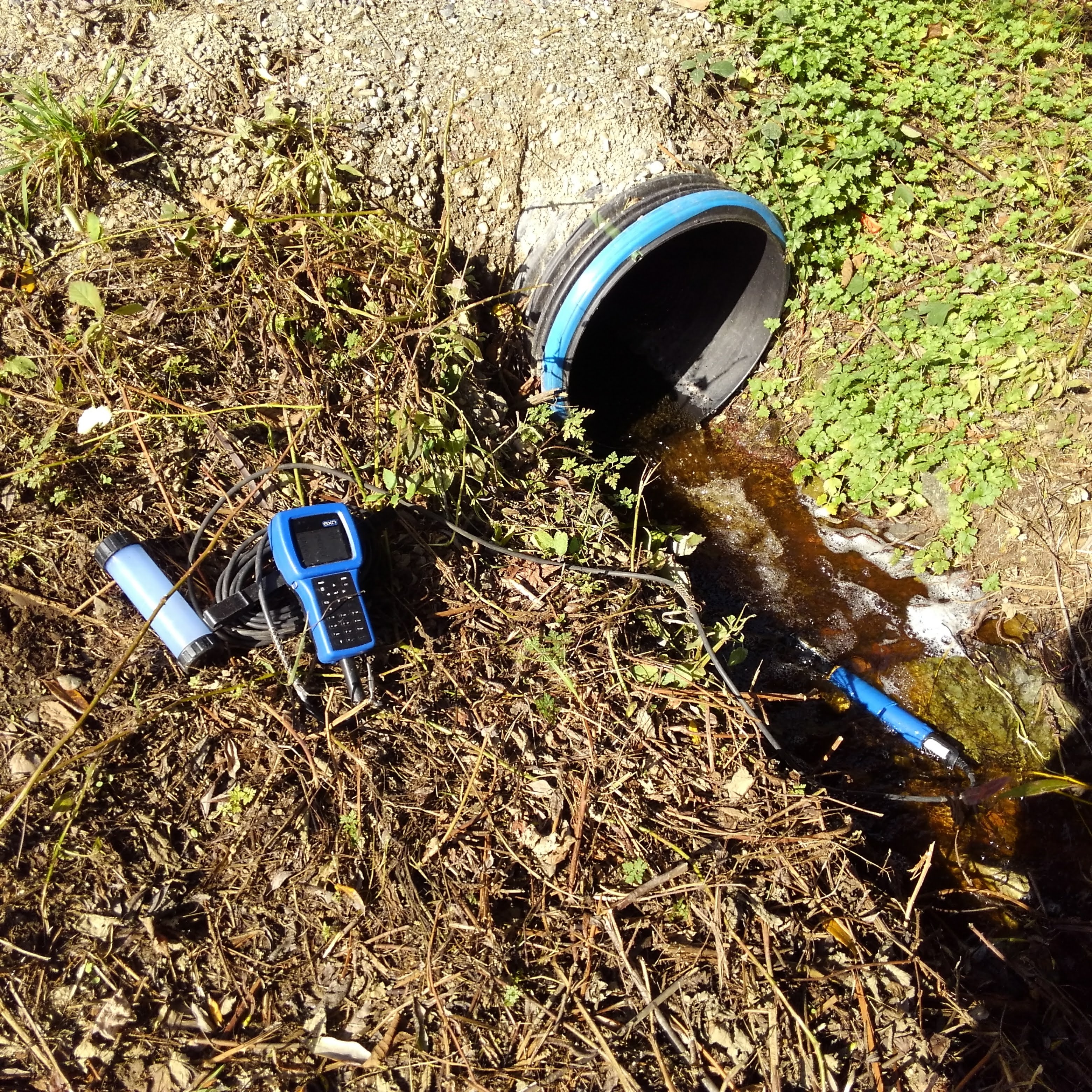 Water Quality Sampling at Cavelero Creek on Camano Island, WA.